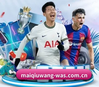本站五个常用功能入口,赛程查询路径更短（maiqiuwang）